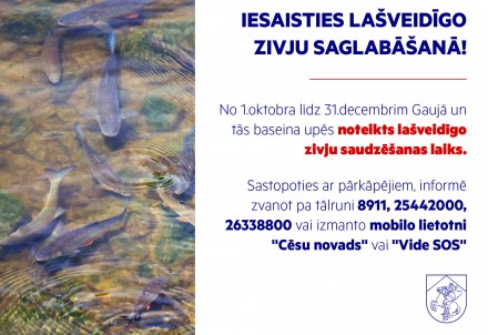 Gaujā un tās baseina upēs noteikts lašveidīgo zivju saudzēšanas laiks