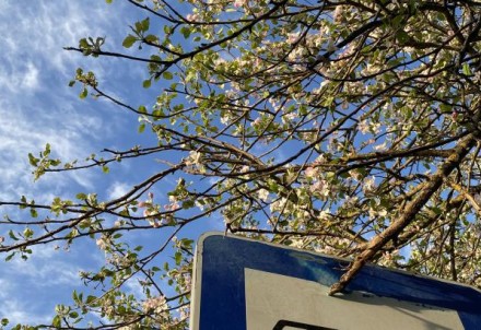 Apstiprinātas izmaiņas reģionālās nozīmes autobusa maršrutā Jaunpiebalga–Drusti