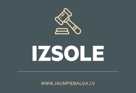 Elektroniskā izsole nekustamajam īpašumam "Strautnieki", Jaunpiebalgas pagastā